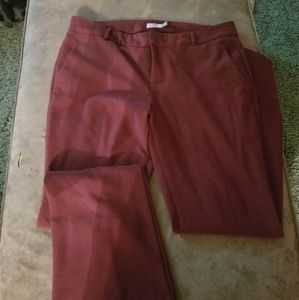 Maroon bootcut dress pant